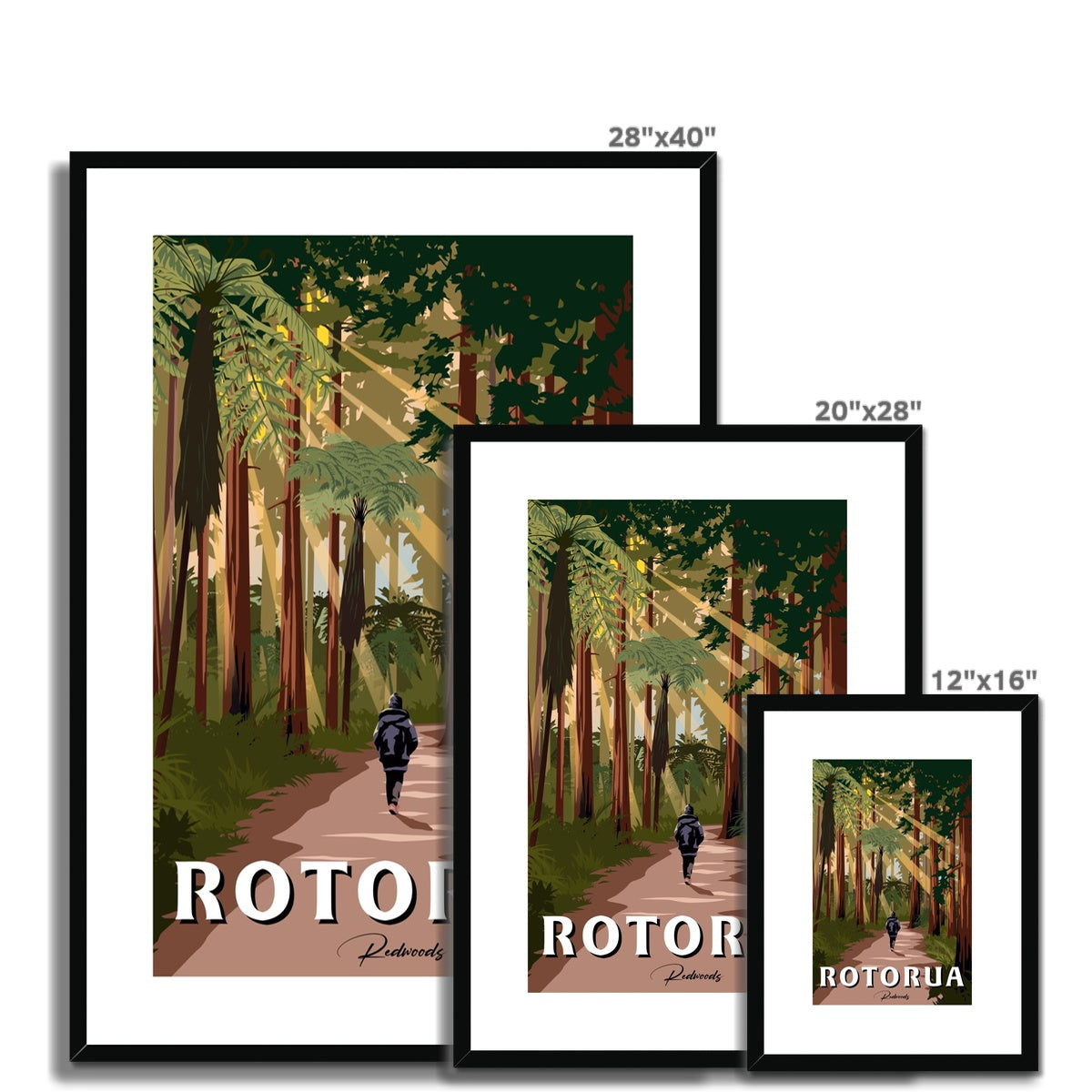 Rotorua Redwoods Framed & Mounted Print