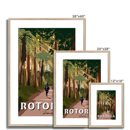 Rotorua Redwoods Framed & Mounted Print